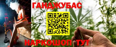 мяу мяу мука Гатчина