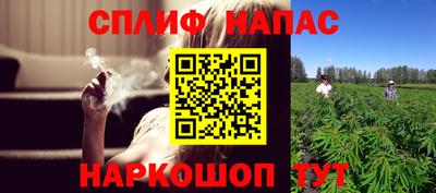 эйфоретик Гай
