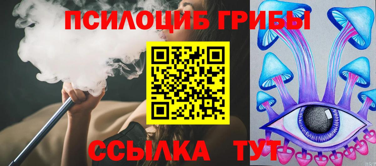 Галлюциногенные грибы ЛСД  Галлюциногенные грибы Magic Shrooms  Моздок  купить закладку  Вход с VPN 