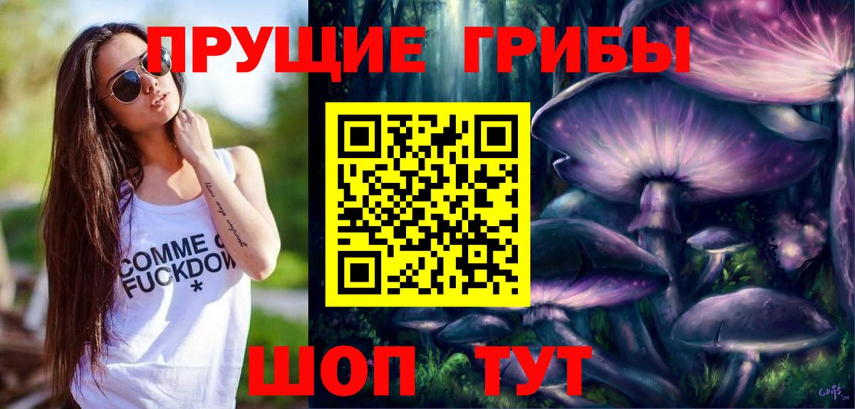 Псилоцибиновые грибы GOLDEN TEACHER Моздок